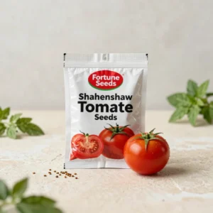 Shahenshah Tomato Seeds