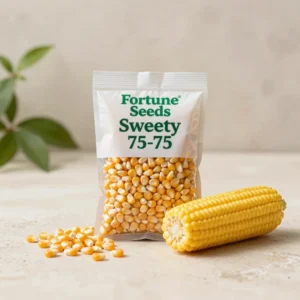 Sweety 75-75 Sweet Corn Seeds